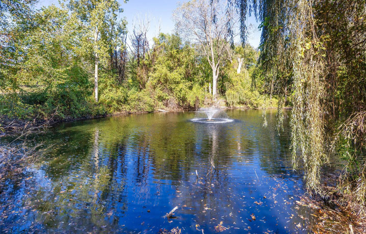 Pond & Grounds